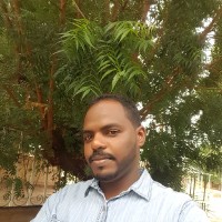 Ahmed MohI Eldin
