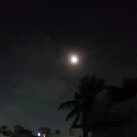 Vishali .