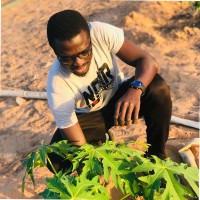 Cheikh Tidiane Fall