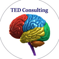 TED Consulting Services