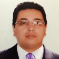 Julio Andrés Briceñó Arangure