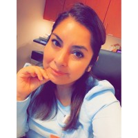 Analiz Vega
