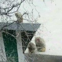 张武超