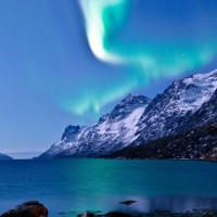 mahmoud mohsen mahmoud