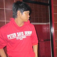 Fachmi Adiba Nasution
