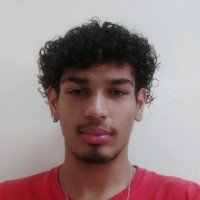 Murilo Brittes Elias
