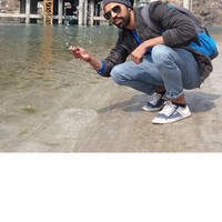 Vikas Rauthan