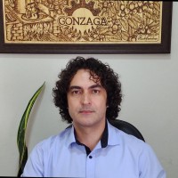 Luiz de Gonzaga Ferreira Júnior