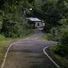 陳機玄