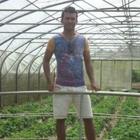 Sisira Anuhas
