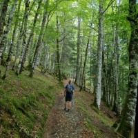 Javier Gonzalez Martinez