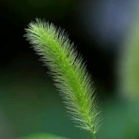 涂文斌