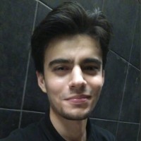 Hamza Özel