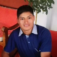 Raul Ticllacuri Ramos