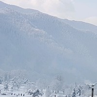 刘启强