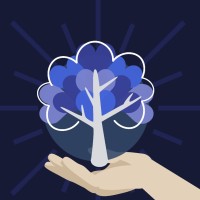 The Business of Non-Profits Podcast