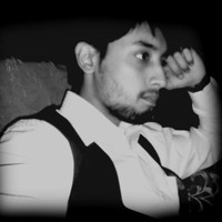 Syed Muhammad Hamza Shakeel