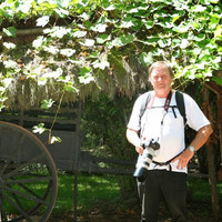 Andre Hostyn