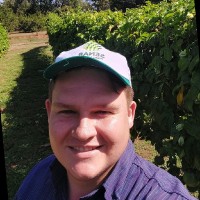 Paulo Gilberto Kreling Trentini
