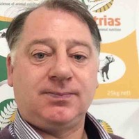 Padraig Mchale