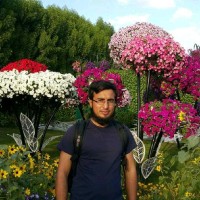 Muhammad Kashif
