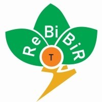 ReBiBiR (T) Network