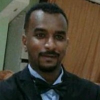 Amin Alnasry