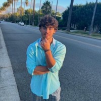 Vincent Borrelli