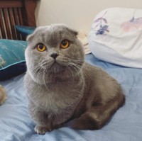 Eri Dang