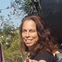 Shlomit Valensi