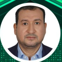 Elsayed Mansour
