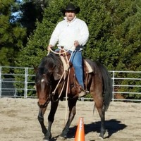 Michael A. Canfield   MBA