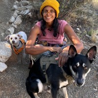 Anita Ashok Adalja