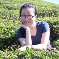 kim Quy lê