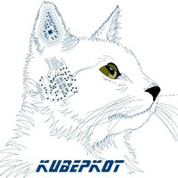 Сргей Гурин