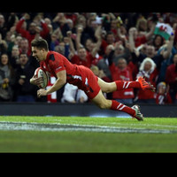 Rhys Webb