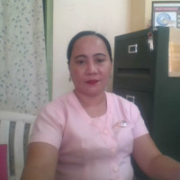 Lilibeth Degulacion