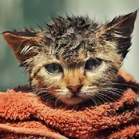 陈曦雨