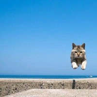尚宏伟