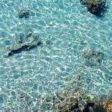 Farmacia Bottiglione dott. Rinaldo