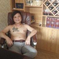 陈礼平