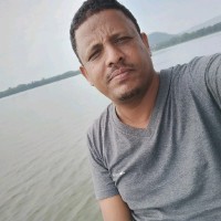 Yared Dawit