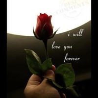 Rose Marrry