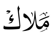 Malak Alsalem