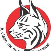 Lince Contabilidade