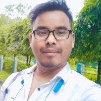 Raju Ray