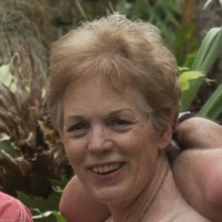 Santa Jacobs - Small Business Assistant