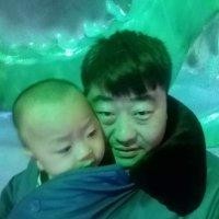杨学磊
