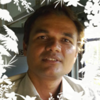 Vijay Dave