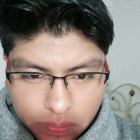 Erick Vidal Juárez Choque